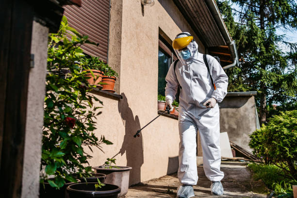 Pest Control for Restaurants in Iowa Colony, TX