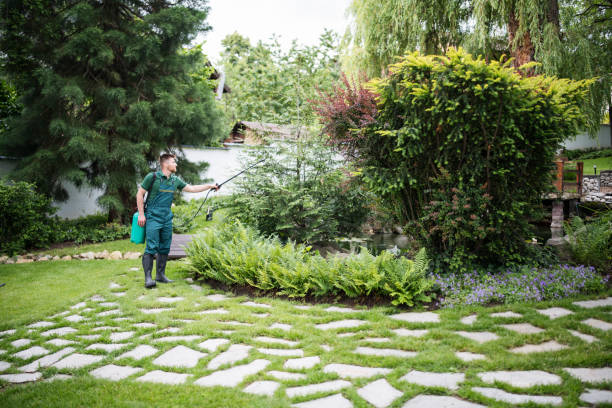 Best Best Pest Control Companies  in Iowa Colony, TX